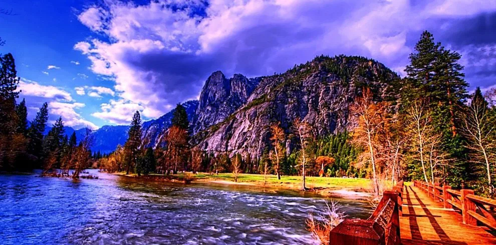 nature