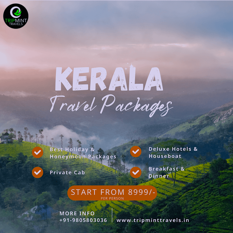 kerala-tour