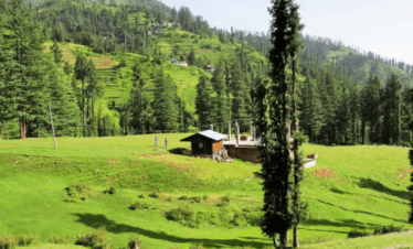 Janjehli valley, offbeat destination
