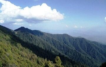 Janjehli Devidarh trip