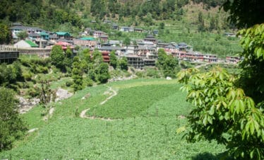Janjehli valley, offbeat gem near Manali