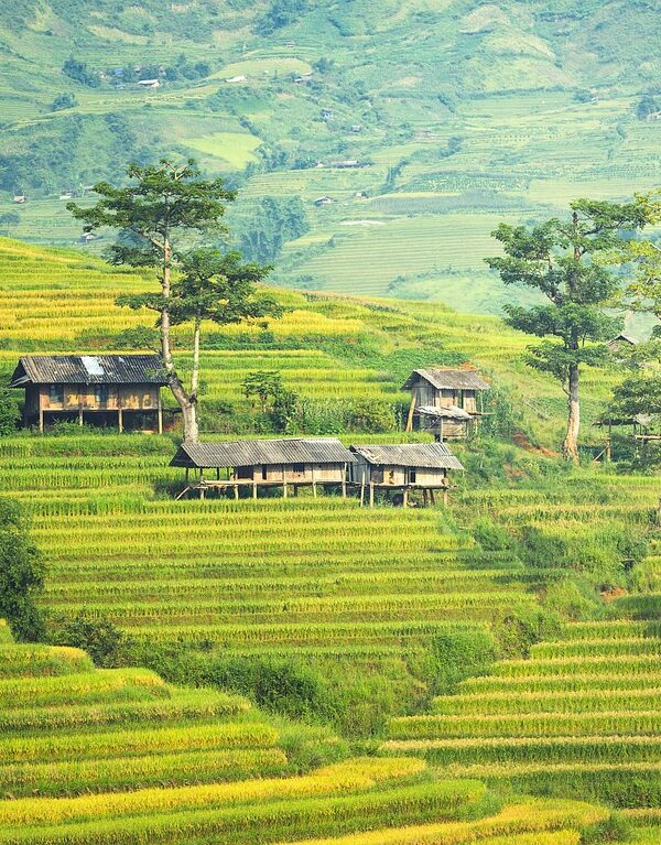 Janjehali valley, offbeat places in himachal