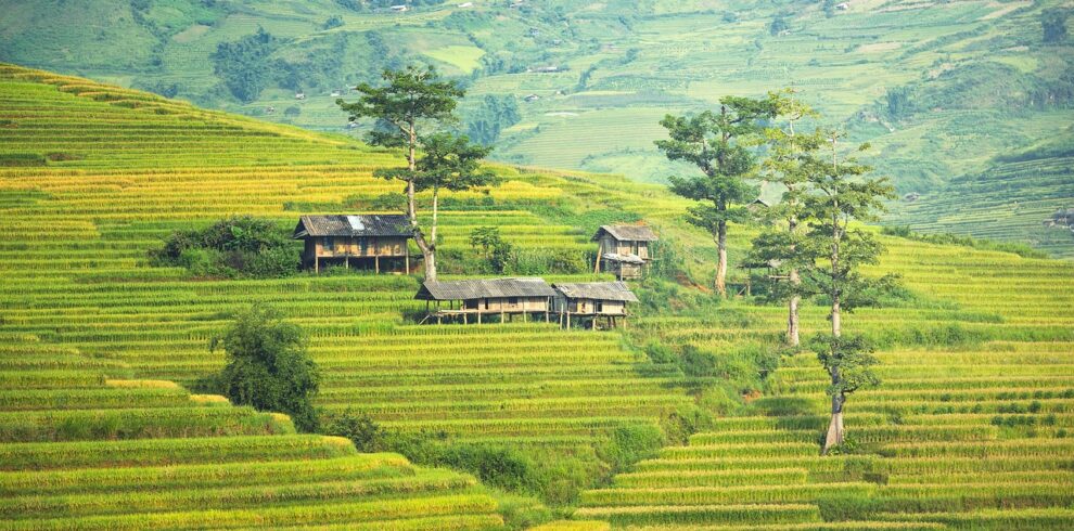 Janjehali valley, offbeat places in himachal