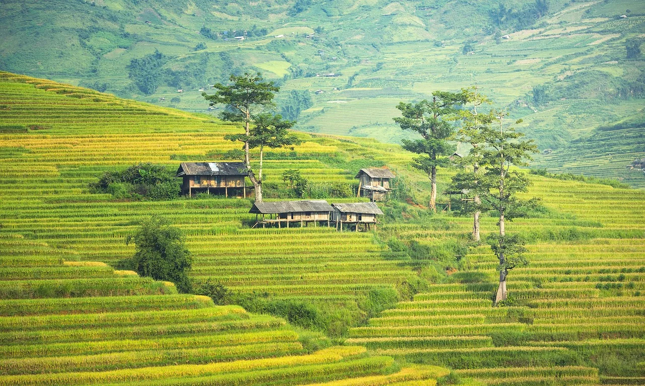 Janjehali valley, offbeat places in himachal