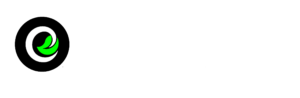 tripmint travels logo
