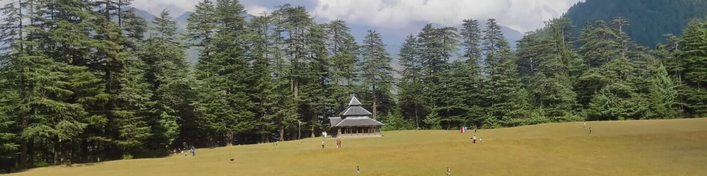 Shangarh meadows