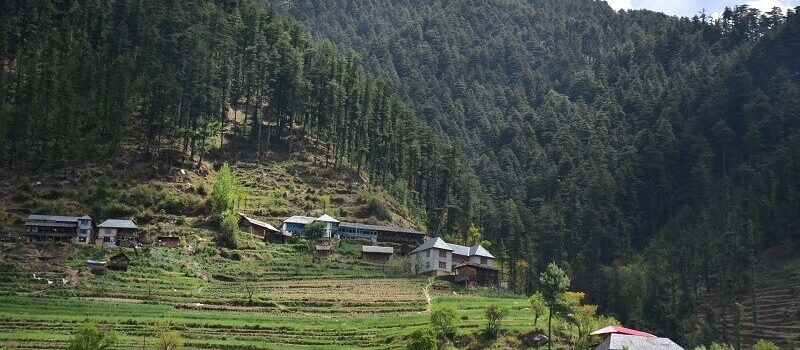 Janjehli valley, Mandi