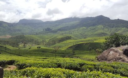 Munnar, Kerala trip package