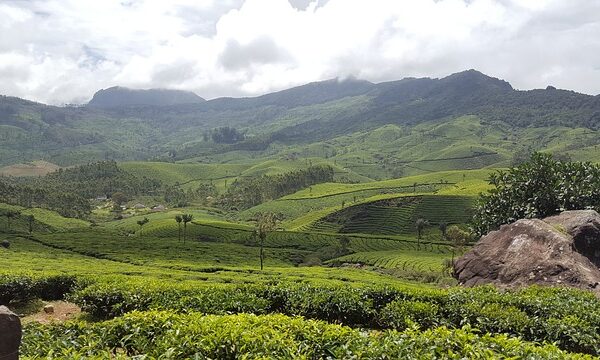 Munnar, Kerala trip package