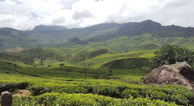Munnar, Kerala trip package
