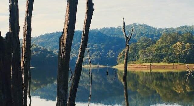 periyar wildlife sanctuary, Kerala