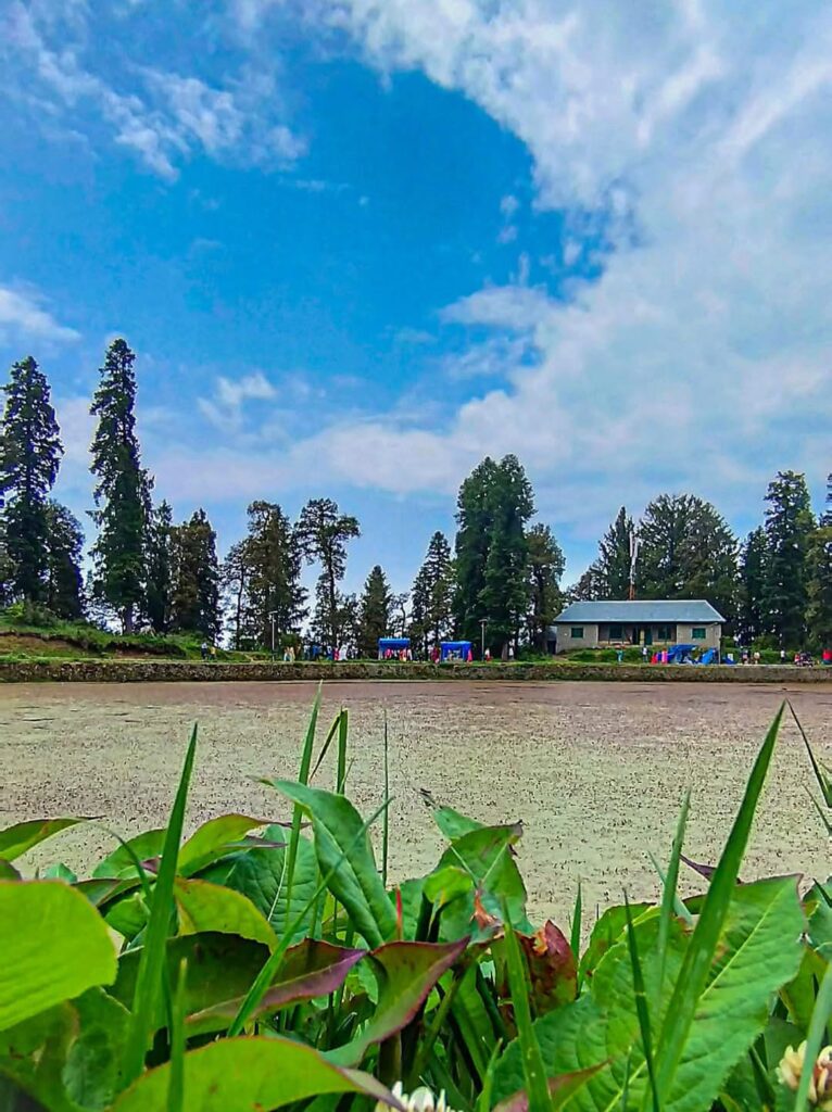 Beautiful view at lake