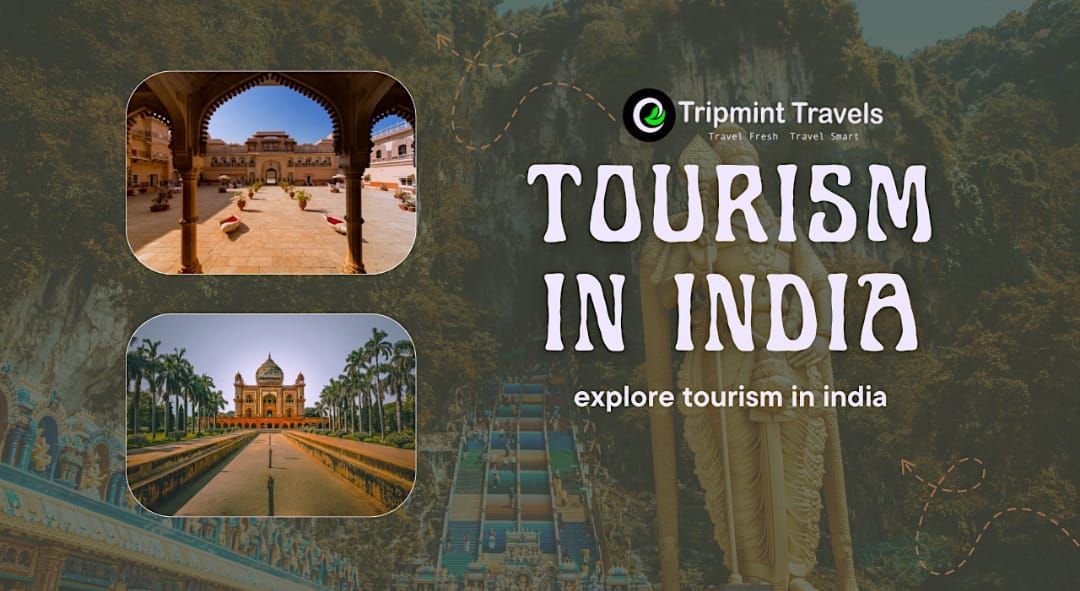 trips in india by Tripmint Travels