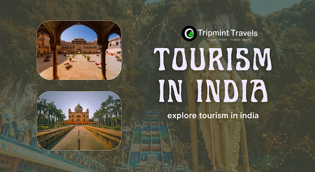 trips in india by Tripmint Travels