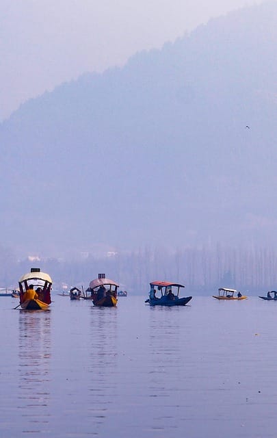 Dal lake shikara