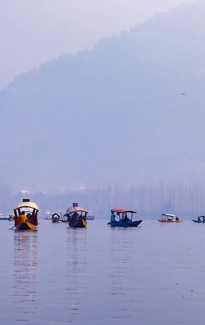 Dal lake shikara
